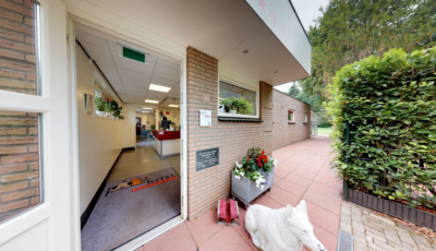 Dierenhotel ’t Gooi 3D Model